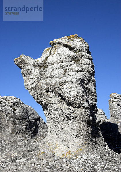 Kalksteinfelsformation im Raukargebiet Langhammers auf der Insel Farö  Gotland  Schweden