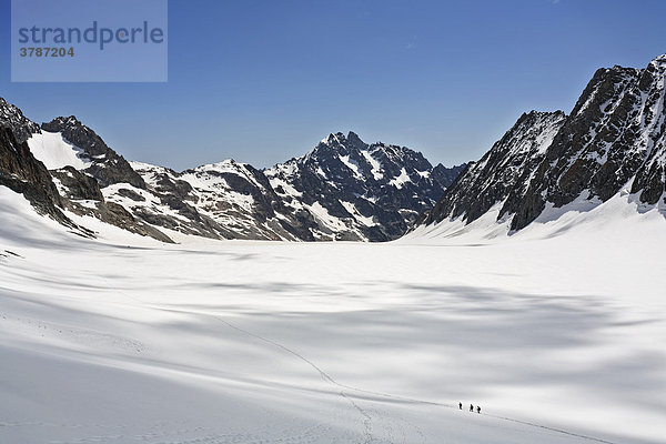 Barre des Ecrins 4.102 m  Glacier Blanc  Provence-Alpes-Cote de Azur  Hautes-Alpes  Frankreich