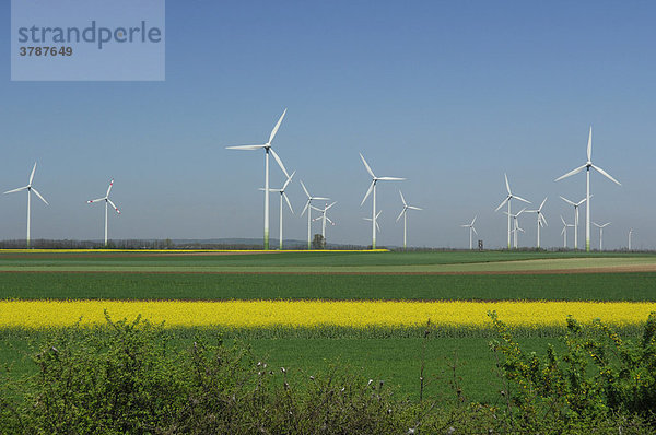 Windkraftanlage bei Weiden  Burgenland  Österreich