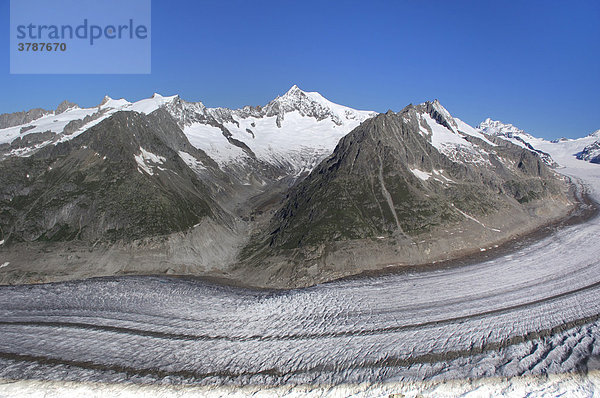 Blick vom Eggishorn auf den grossen Aletschgletscher  Goms  Wallis Schweiz