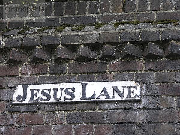 Jesus Lane Cambridge UK