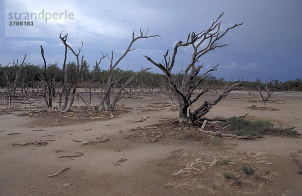 Gewitterstimmung an einem trocken gefallenen Salzsumpf im Gran Chaco  Paraguay