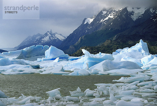 Lago de Grey  Grey Gletscher  Torres del Paine Nationalpark  Patagonien  Chile