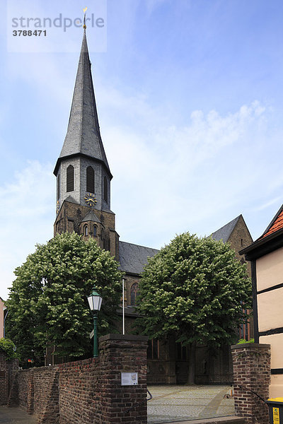 Gemeindekirche Sankt Martinus  Zons  Dormagen  Nordrhein-Westfalen  Deutschland  Europa