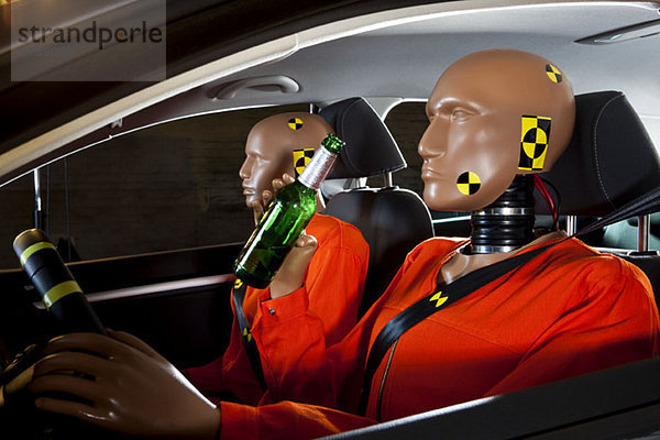 Ein Crashtest-Dummy trinkt ein Bier während der Fahrt mit einem Crashtest-Dummy-Passagier.