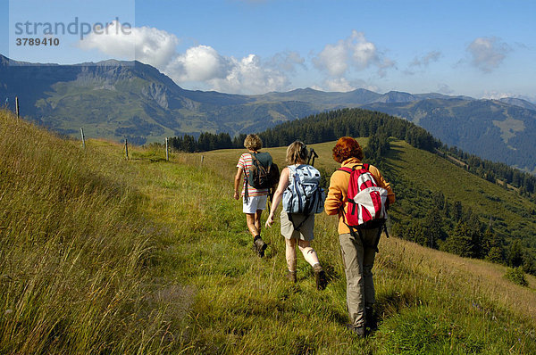 Drei Frauen bei einer Wanderung im Gebirge über Gras Mont Joux Hochsavoyen Haute-Savoie Frankreich