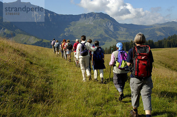 Gruppe wandert hintereinander im Gebirge über Gras Mont Joux Hochsavoyen Haute-Savoie Frankreich