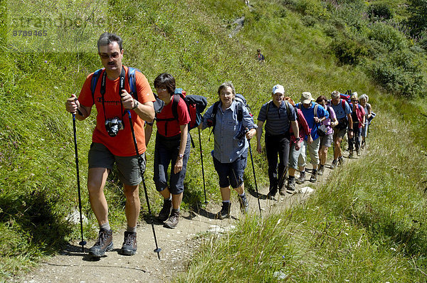 Wandergruppe wandert einträchtig im Gänsemarsch auf einem Pfad an Wiesenhang Hochsavoyen Haute-Savoie Frankreich