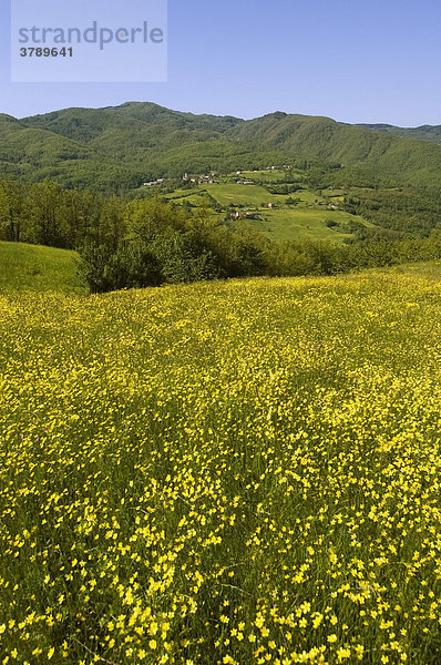 Von der Pass Strasse Cento Croci in den ligurischen Seealpen nördlich von Varese Ligure Provinz Parma Emilia Romagna Italien