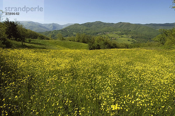 Von der Pass Strasse Cento Croci in den ligurischen Seealpen nördlich von Varese Ligure Provinz Parma Emilia Romagna Italien