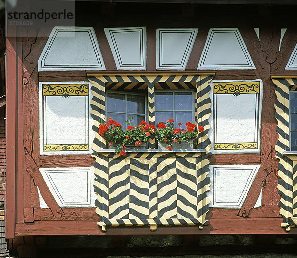 Hagenwil Stadt Amriswil Kanton Thurgau Schweiz Wasserschloß Blumenfenster