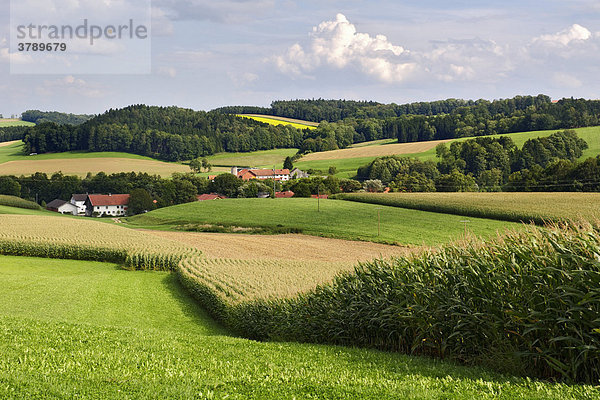 Landschaft bei Dorfen Oberbayern Deurschland