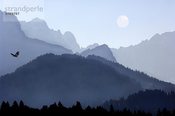 Berge im Dunst Nebel bei Mittenwald Bayern Deutschland COMPOSING Mond Adler