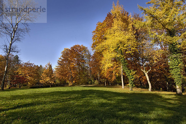 Park im Herbst des Buchheim Musum bei Bernried am Starnberger See Bayern Deutschland