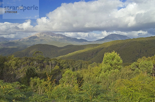 Landschaft an der Westküste bei Strahan Tasmanien Australien