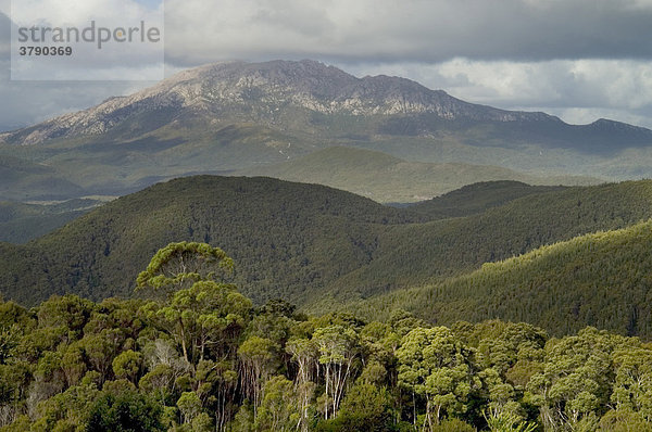 Landschaft an der Westküste bei Strahan Tasmanien Australien