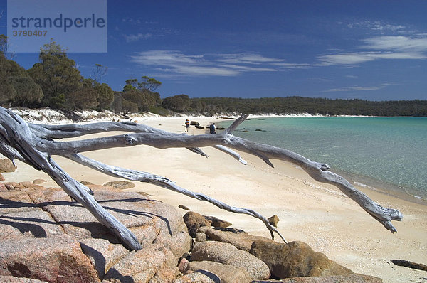 Hazards Beach im Freycinet National Park Tasmanien Australien