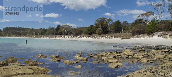 Hopground Beach Maria Island Nationalpark Tasmanien Australien