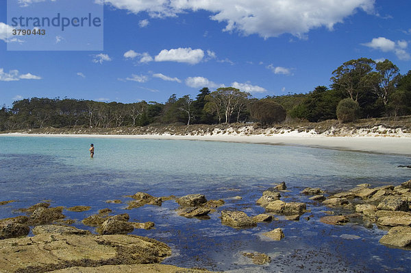 Hopground Beach Maria Island Nationalpark Tasmanien Australien