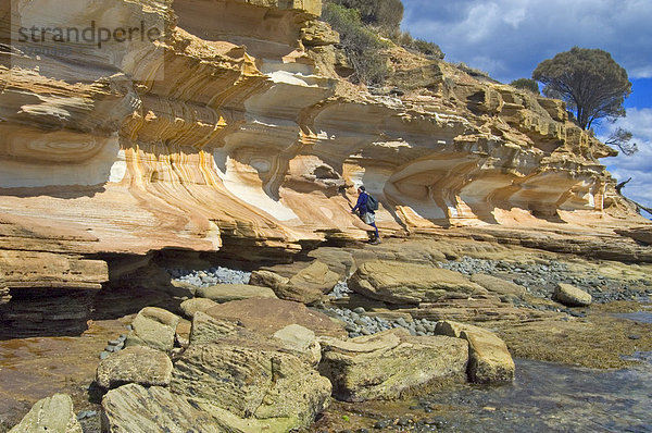 Bunte Sandsteinklippen Painted Cliffs im Maria Island Nationalpark Tasmanien Australien