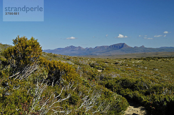 Blick ins Waterfall Valley am Overland Track Cradle Mountain Lake St Clair Nationalpark Tasmanien Australien