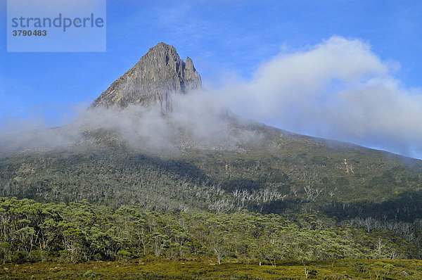 Morgennebel am Barn Bluff am Overland Track Cradle Mountain Lake St Clair Nationalpark Tasmanien Australien