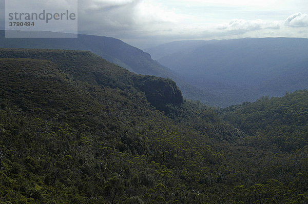 Regenstimmung am Overland Track Cradle Mountain Lake St Clair Nationalpark Tasmanien Australien