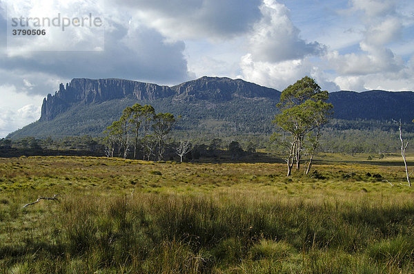 Pelion Ebene und Mt Oakleigh am Overland Track Cradle Mountain Lake St Clair Nationalpark Tasmanien Australien