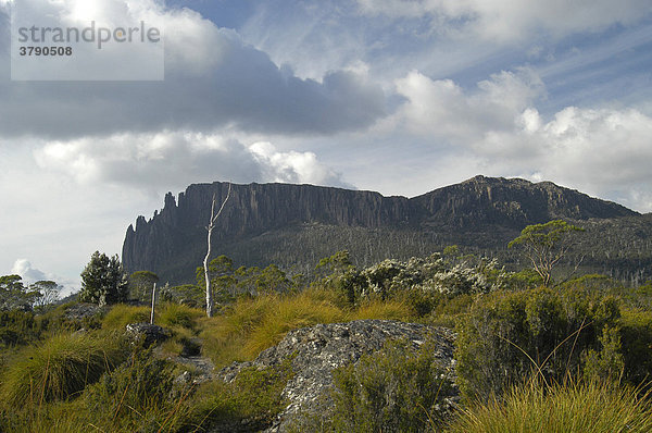 Pelion Ebene und Mt Oakleigh am Overland Track Cradle Mountain Lake St Clair Nationalpark Tasmanien Australien