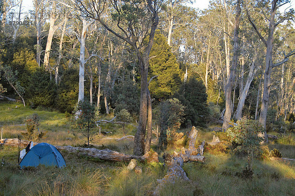 Zeltplatz bei der neuen Pelion Hütte am Overland Track Cradle Mountain Lake St Clair Nationalpark Tasmanien Australien