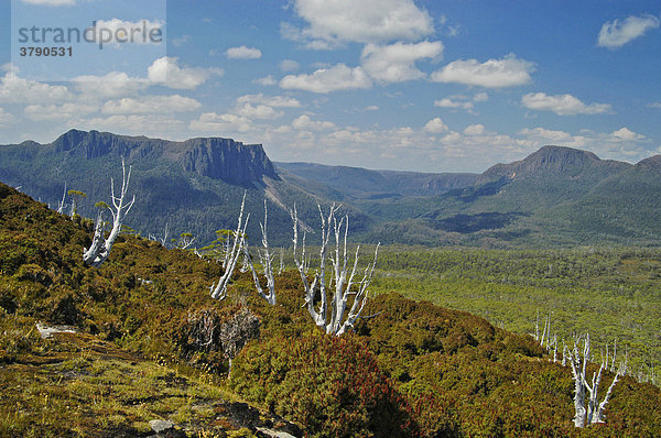 Blick zum Mt Pelion West vom Overland Track Cradle Mountain Lake St Clair Nationalpark Tasmanien Australien