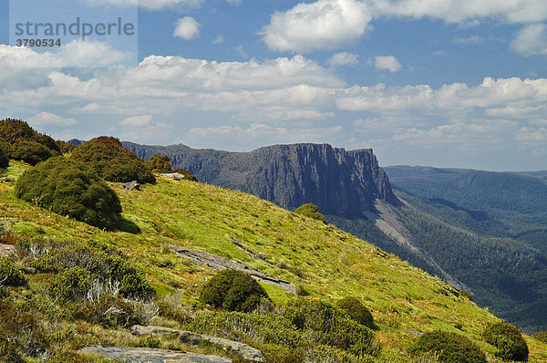 Typische Vegetation mit Gebüsch und Polsterpflanzen am Mt Pelion East am Overland Track Cradle Mountain Lake St Clair Nationalpark Tasmanien Australien