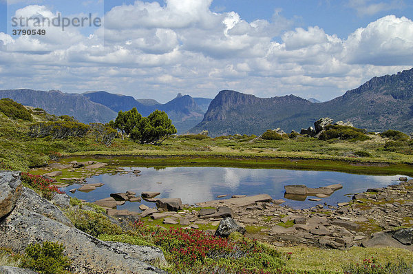 Teich unterhalb des Gipfels des Mt Pelion East Overland Track Cradle Mountain Lake St Clair Nationalpark Tasmanien Australien