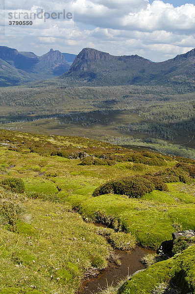 Blick zum Mt Ossa vom Mt Pelion East Overland Track Cradle Mountain Lake St Clair Nationalpark Tasmanien Australien