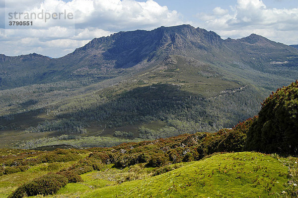 Blick zum Mt Ossa vom Mt Pelion East Overland Track Cradle Mountain Lake St Clair Nationalpark Tasmanien Australien