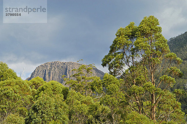 Landschaft bei der Kia Ora Hütte am Overland Track Cradle Mountain Lake St Clair Nationalpark Tasmanien Australien