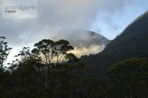 Morgenstimmung mit Nebel bei der Kia Ora Hütte am Overland Track Cradle Mountain Lake St Clair Nationalpark Tasmanien Australien