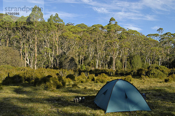 Camping am sogenannten Bowling Green am Overland Track Cradle Mountain Lake St Clair Nationalpark Tasmanien Australien