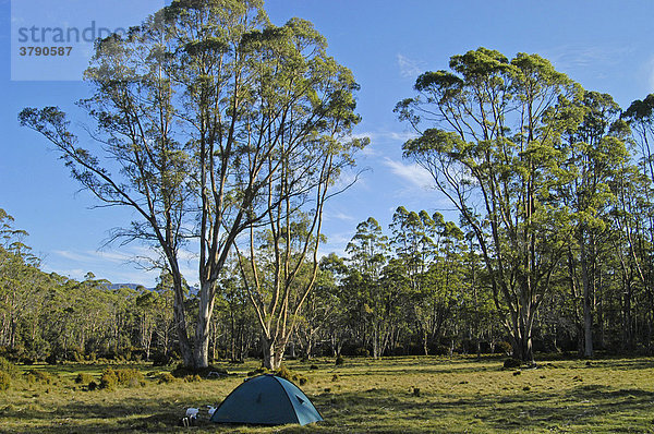 Camping am sogenannten Bowling Green am Overland Track Cradle Mountain Lake St Clair Nationalpark Tasmanien Australien