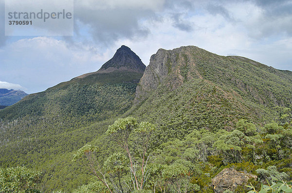 Mount Gould gesehen vom Labyrinth beim Pine Valley am Overland Track Cradle Mountain Lake St Clair Nationalpark Tasmanien Australien