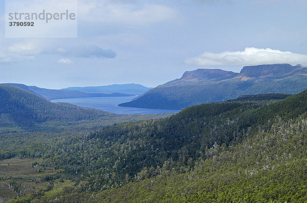 Blick zum Lake St Clair vom Labyrinth beim Pine Valley am Overland Track Cradle Mountain Lake St Clair Nationalpark Tasmanien Australien