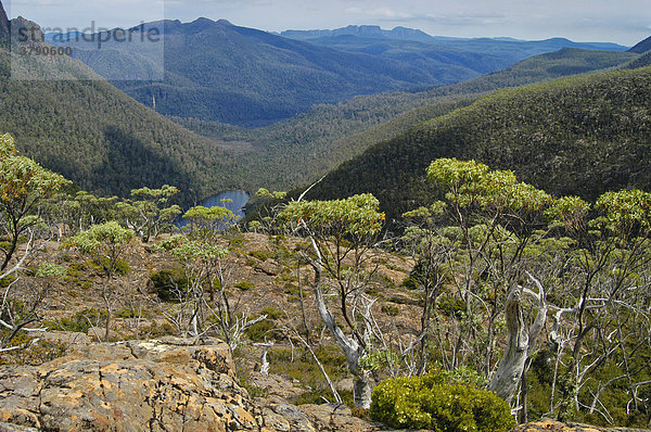 Wolkenstimmung über der Akropolis gesehen vom Labyrinth beim Pine Valley am Overland Track Cradle Mountain Lake St Clair Nationalpark Tasmanien Australien