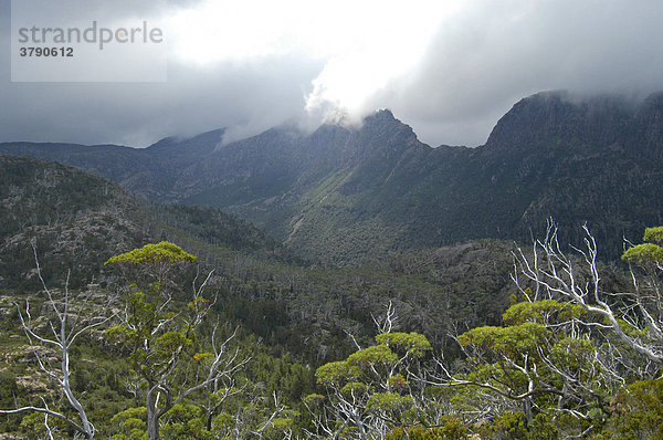 Blick zur Akropolis vom Labyrinth beim Pine Valley am Overland Track Cradle Mountain Lake St Clair Nationalpark Tasmanien Australien