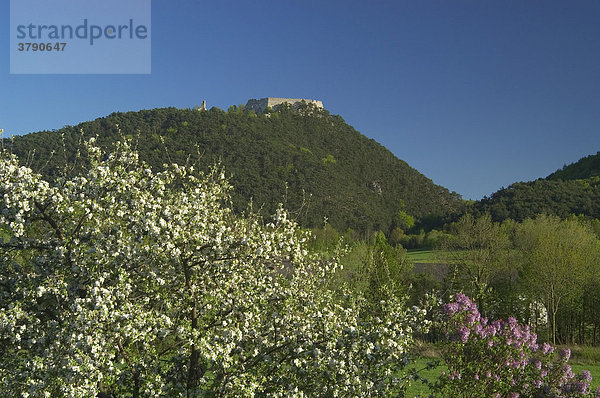 Burgruine Starhemberg Piestingtal Niederösterreich