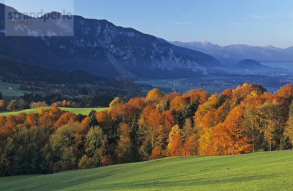 Morgenblick auf den zahmen Kaiser Tirol Österreich