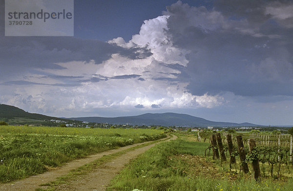 Gewitterwolken über Weinberg und Feldweg in Leobersdorf Niederösterreich Österreich