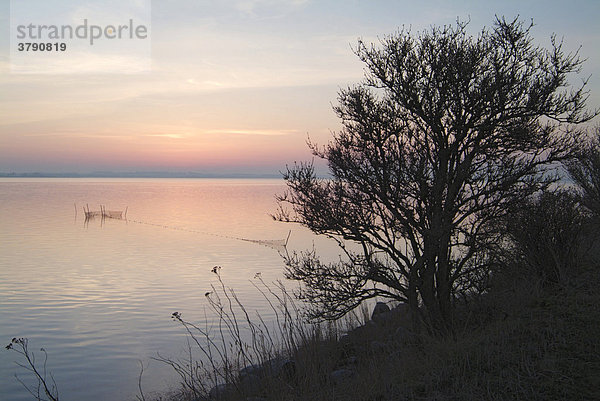 Abendstimmung nach Sonnenuntergang auf der daenischen Insel Moen  Ostsee  Daenemark