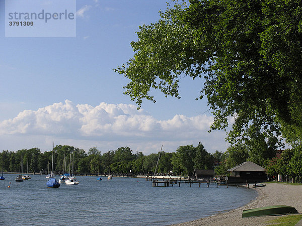 BRD Deutschland Bayern Oberbayern Herrsching am Ammersee Der Ammersee Uferpromenade Boote auf dem Wasser grüne Bäume