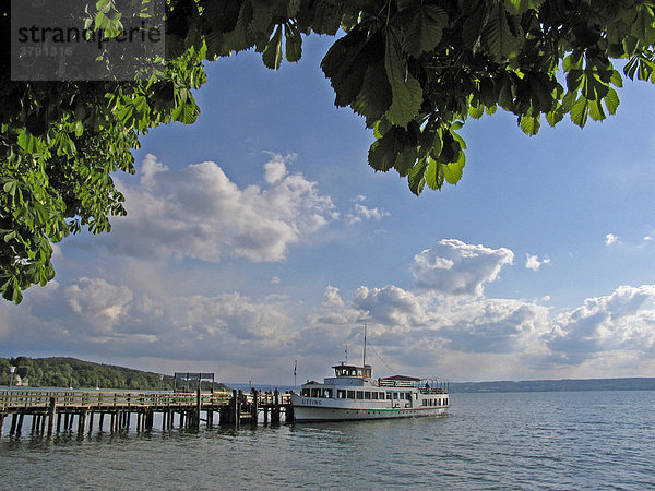 BRD Deutschland Bayern Oberbayern Herrsching am Ammersee Der Ammersee Uferpromenade Anlegestelle mit Dampfer Dampfersteg Steg mit Dampfer Ausflugsschiff Kastanienblätter im Vordergrund