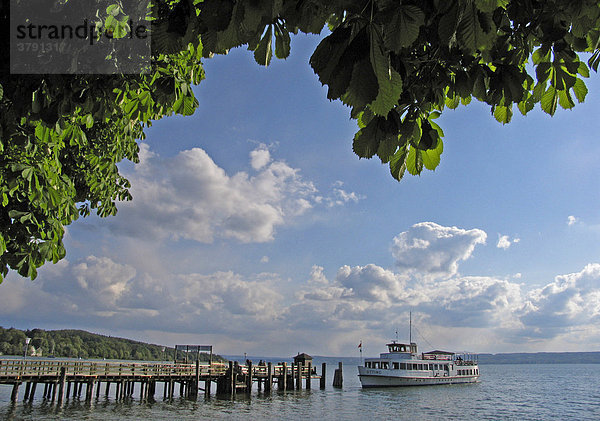 BRD Deutschland Bayern Oberbayern Herrsching am Ammersee Der Ammersee Uferpromenade Anlegestelle mit Dampfer Dampfersteg Steg mit Dampfer Ausflugsschiff Kastanienblätter im Vordergrund